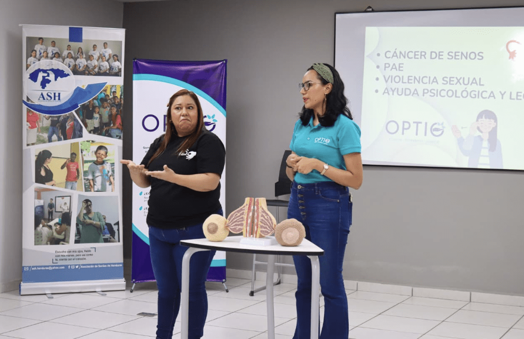 Workshop on Breast Cancer Prevention and Emergency Contraception for Women with Hearing Disabilities